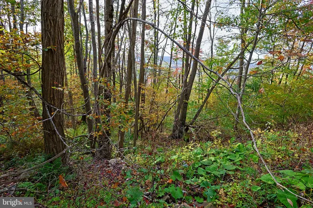 $490,000 | 0 George Washington Highway, Oakland, MD 21550