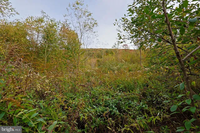 $490,000 | 0 George Washington Highway, Oakland, MD 21550