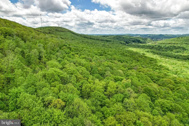 a view of a garden with an outdoor space