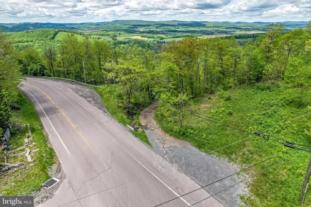 a view of a yard with potted plants