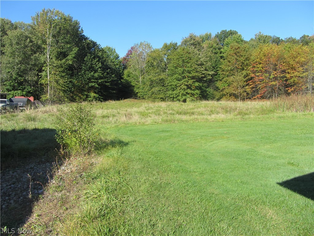 1049 Ridge Road Vienna, OH 44473 - Photo 27 of 31 Back Yard