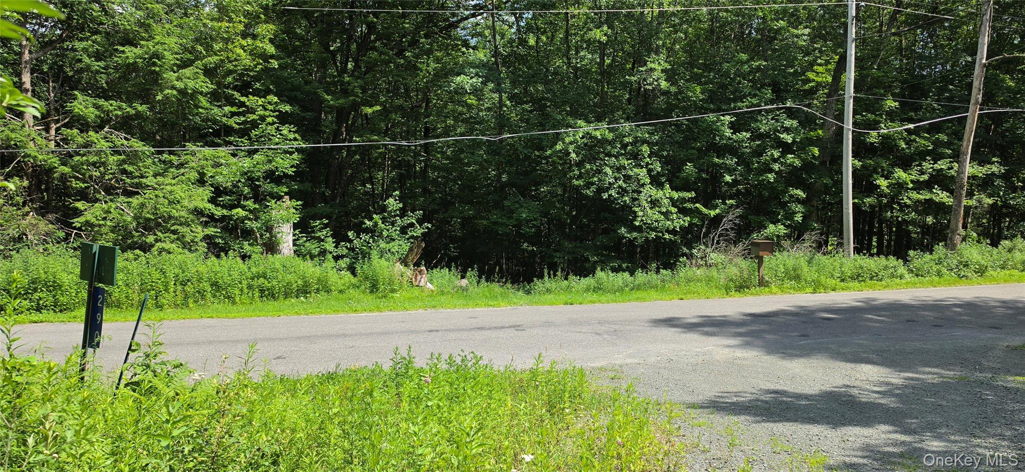290 Cypert Road Woodbourne, NY 12788 - Photo 16 of 23