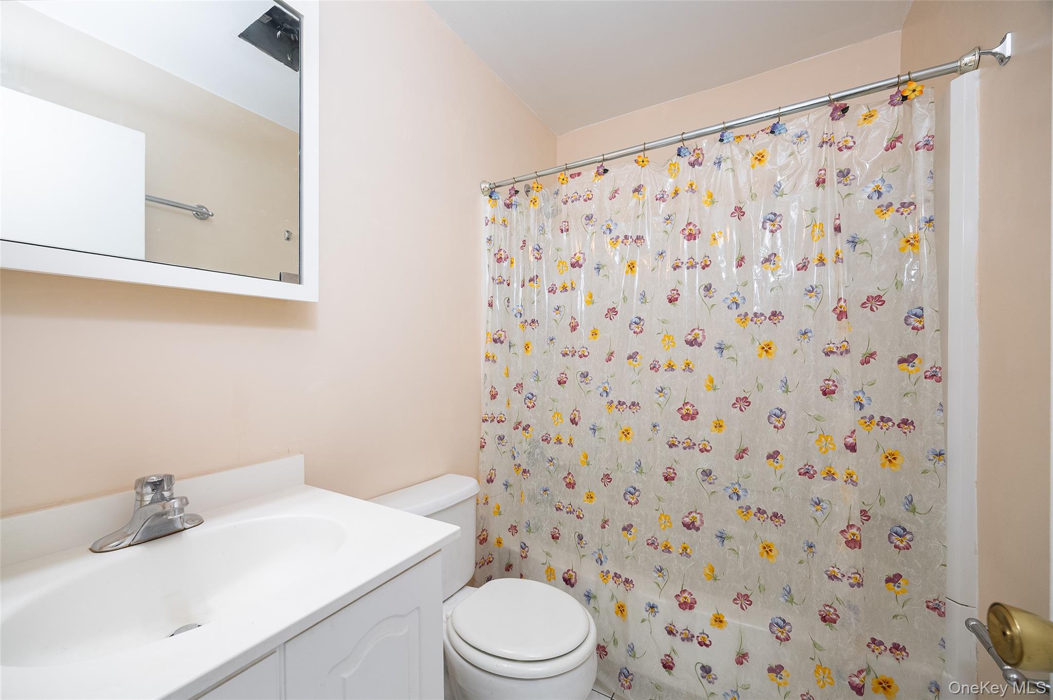 19 Tor Road Wappingers Falls, NY 12590 - Photo 7 of 25