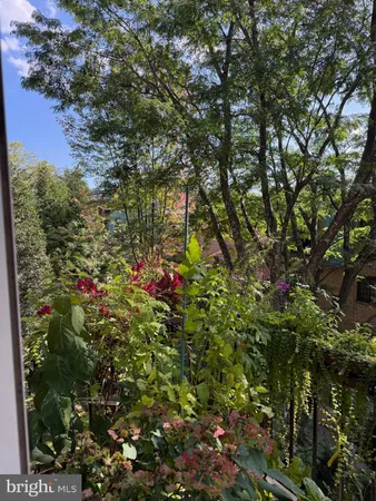 a small yard
