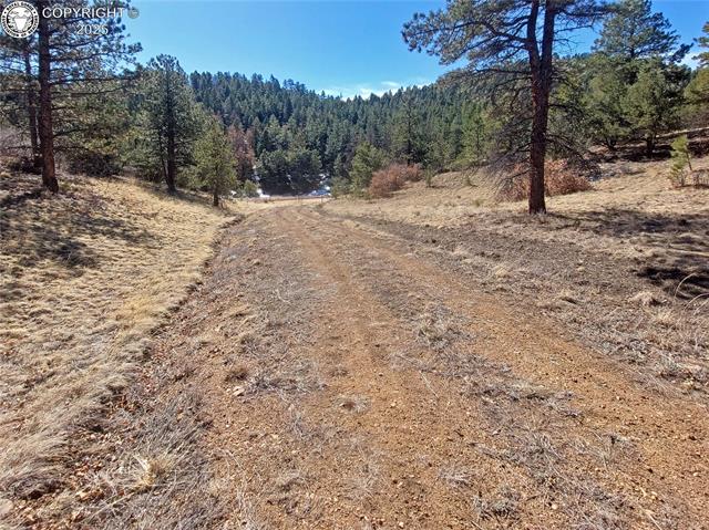 1389 Buttonwood Road Canon City, CO 81212 - Photo 31 of 39 Gallery Image 31