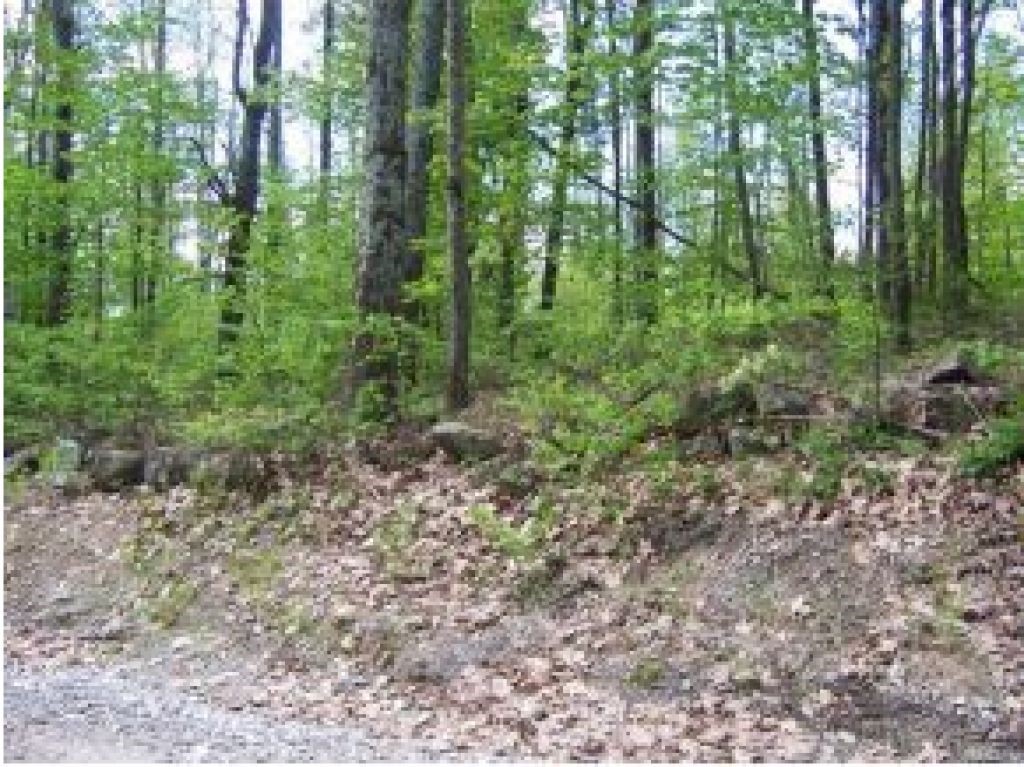 Lot 4 Range Road Epsom, NH 03234 - Photo 1 of 5