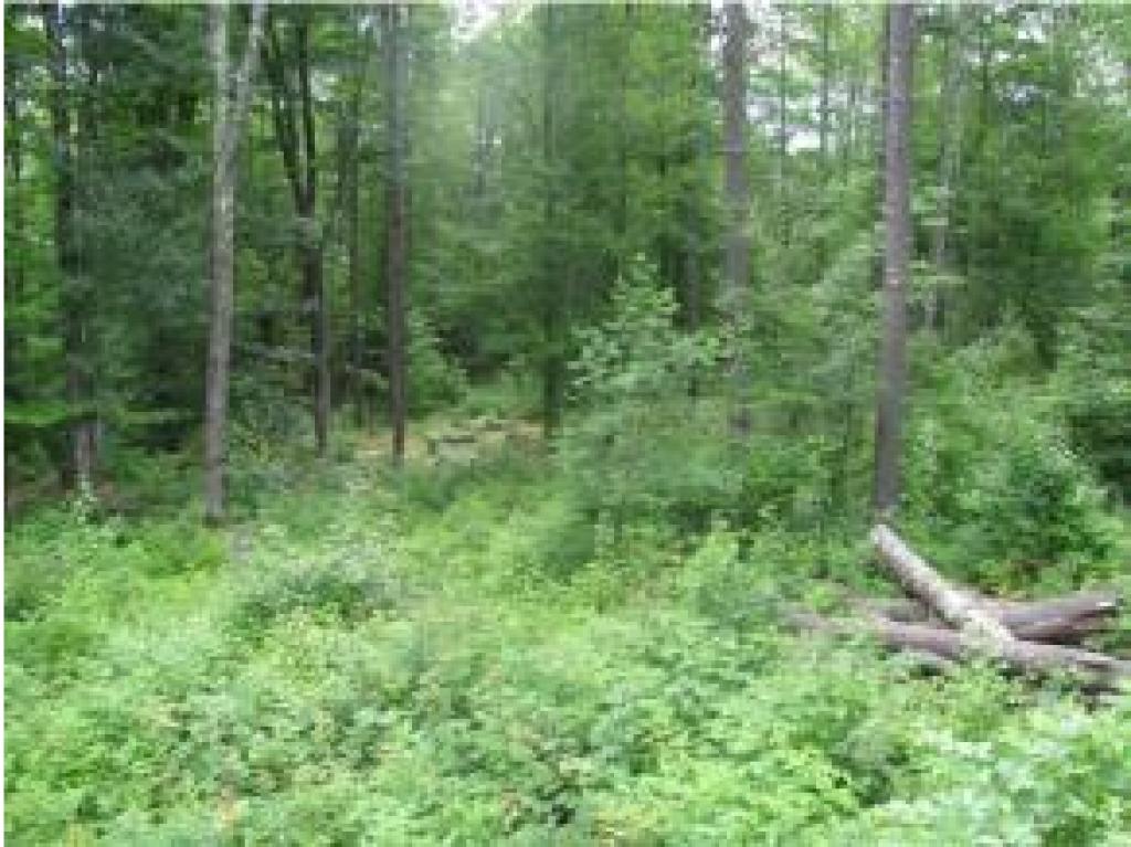 Lot 4 Range Road Epsom, NH 03234 - Photo 3 of 5
