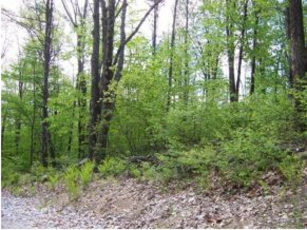 Lot 4 Range Road Epsom, NH 03234 - Photo 4 of 5