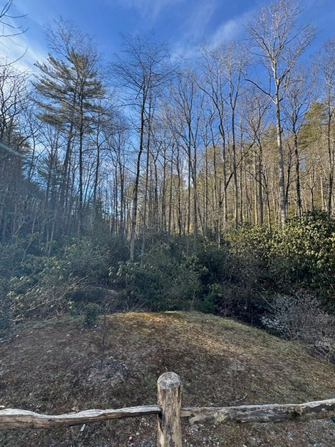 7 Wandering Ridge Cashiers, NC 28717 - Photo 6 of 14 Gallery Image 6