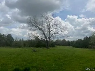 $1,440,000 | 0 Edgmond Drive, Hartshorn, MO 65479