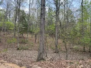 $1,440,000 | 0 Edgmond Drive, Hartshorn, MO 65479