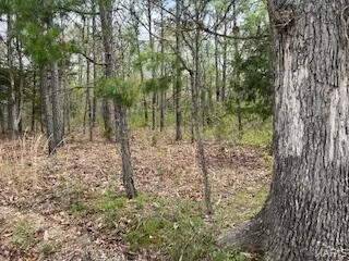 $1,260,000 | 0 Edgmond Drive, Hartshorn, MO 65479