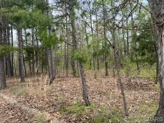 $1,260,000 | 0 Edgmond Drive, Hartshorn, MO 65479