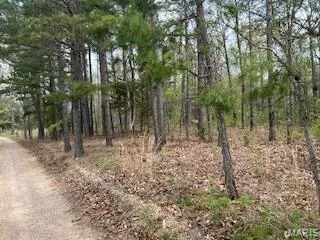 $1,260,000 | 0 Edgmond Drive, Hartshorn, MO 65479