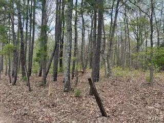 $1,440,000 | 0 Edgmond Drive, Hartshorn, MO 65479