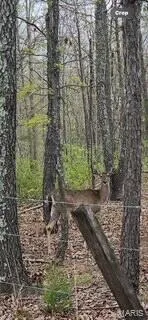 $1,440,000 | 0 Edgmond Drive, Hartshorn, MO 65479