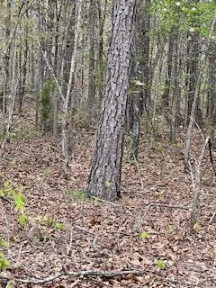 $1,440,000 | 0 Edgmond Drive, Hartshorn, MO 65479