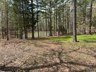 $1,260,000 | 0 Edgmond Drive, Hartshorn, MO 65479