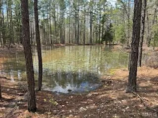 $1,260,000 | 0 Edgmond Drive, Hartshorn, MO 65479