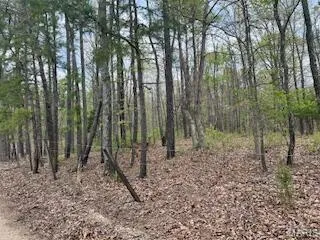 $1,260,000 | 0 Edgmond Drive, Hartshorn, MO 65479