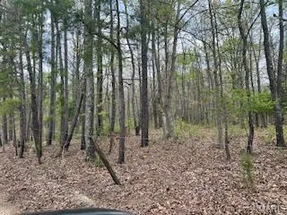 $1,260,000 | 0 Edgmond Drive, Hartshorn, MO 65479