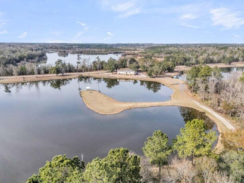 0 Pine Bluff Road Dorchester, SC 29437 - Photo 8 of 11
