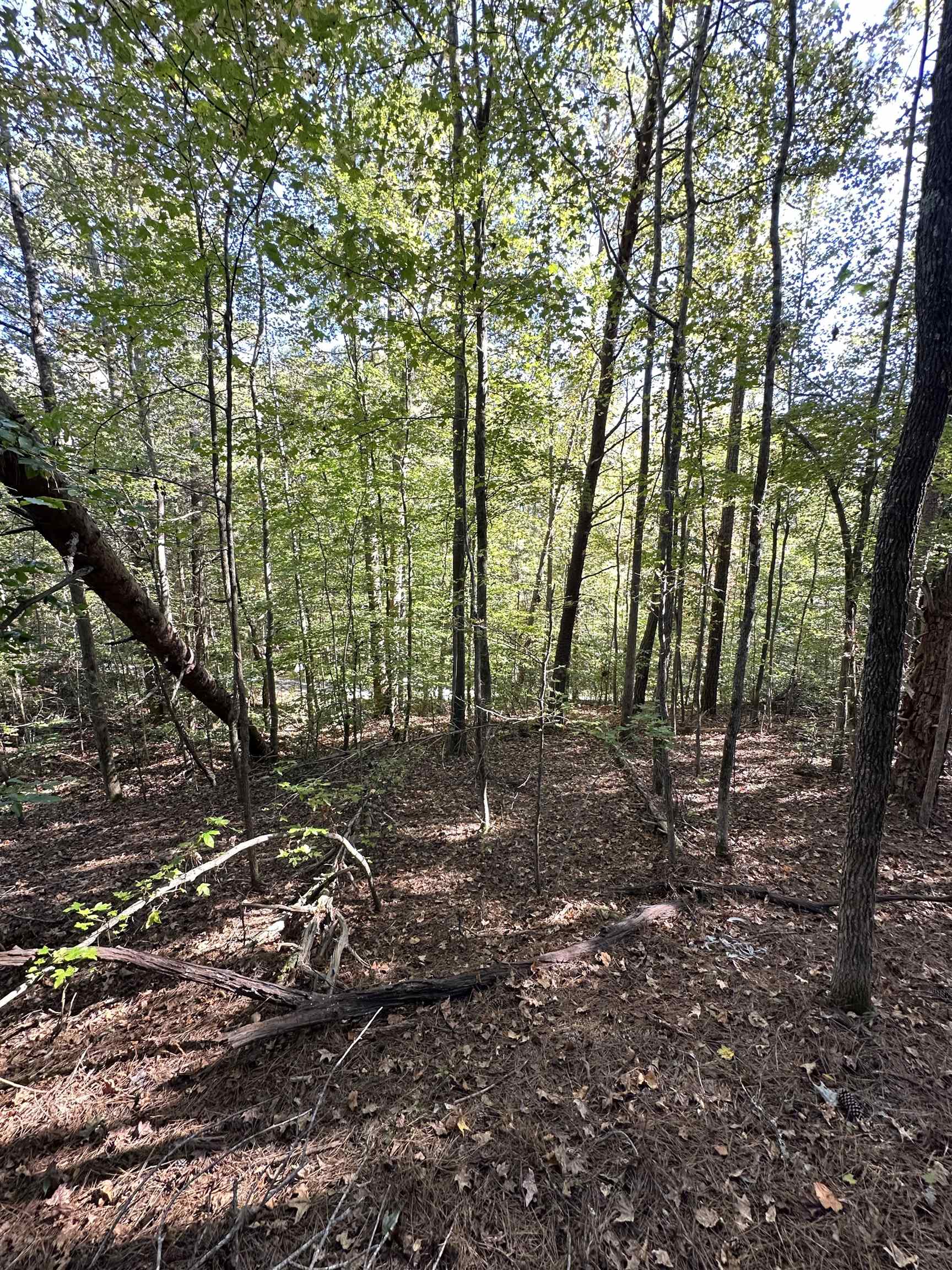 0 Hammett Grove Road Spartanburg, SC 29307 - Photo 3 of 4