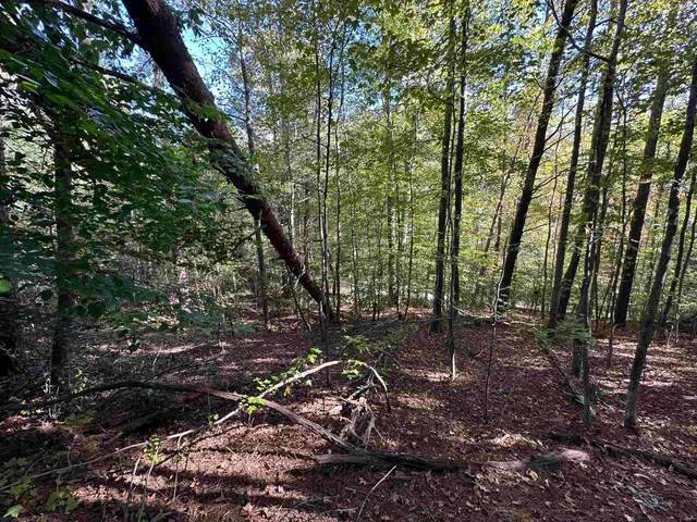 $21,900 | 0 Hammett Grove Road, Spartanburg, SC 29307