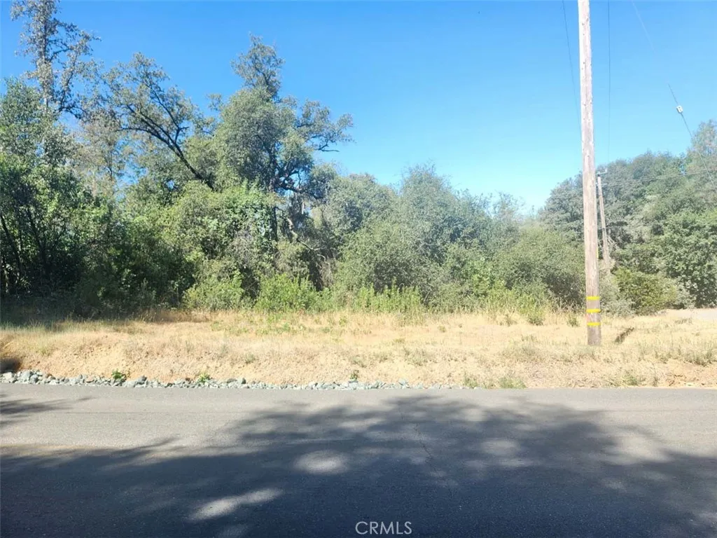 0 Texas Hill Road Oregon House, CA 95962 - Photo 13 of 34 a view of a yard with trees