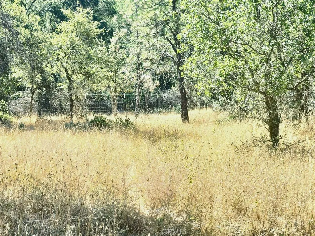 0 Texas Hill Road Oregon House, CA 95962 - Photo 17 of 34 a view of lake