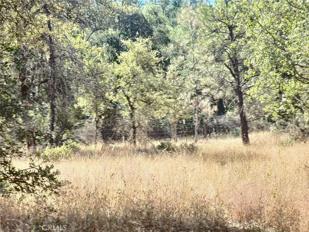 0 Texas Hill Road Oregon House, CA 95962 - Photo 19 of 34 a view of lake