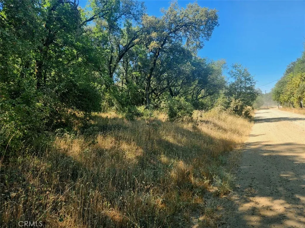 0 Texas Hill Road Oregon House, CA 95962 - Photo 20 of 34