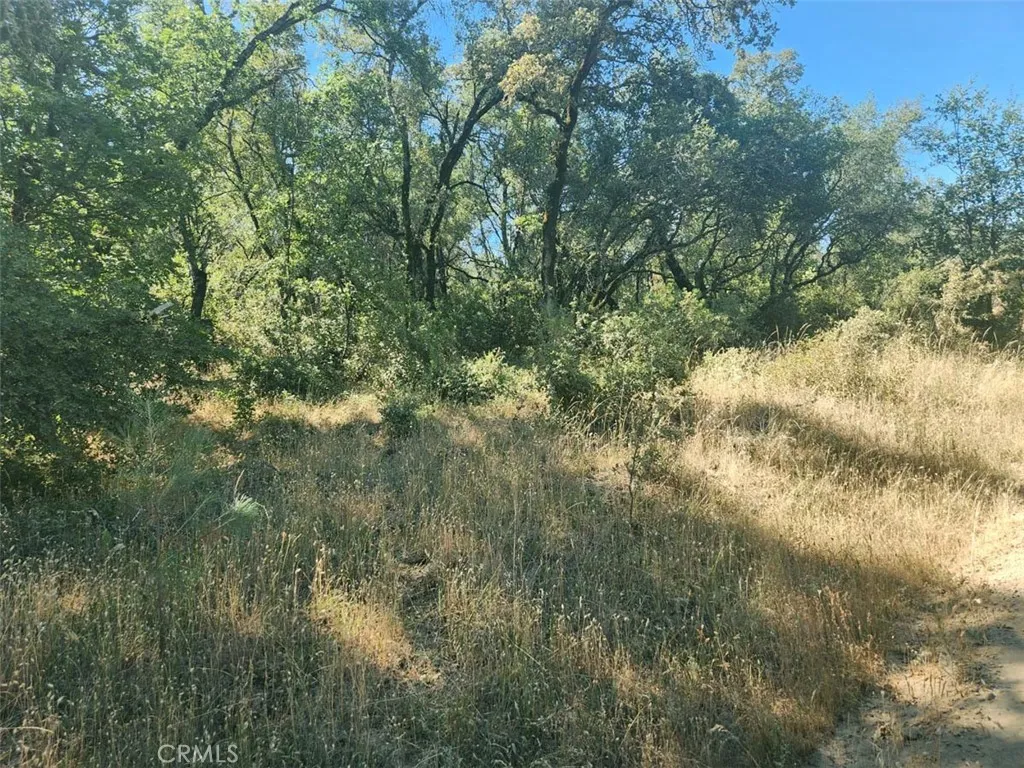 0 Texas Hill Road Oregon House, CA 95962 - Photo 25 of 34 a view of a yard