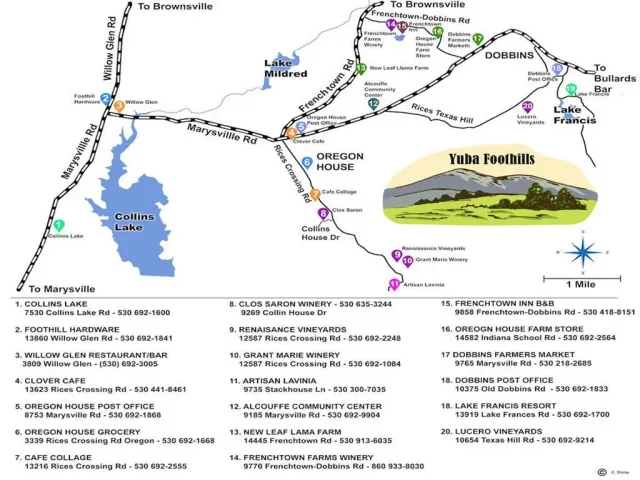 $99,000 | 0 Texas Hill Road, Oregon House, CA 95962