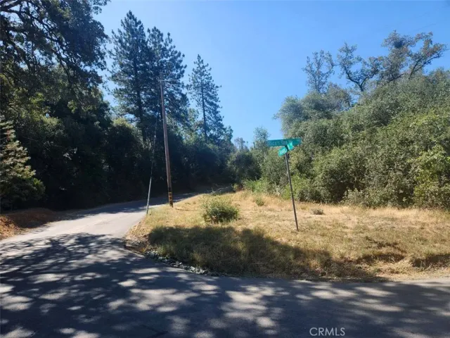 a view of a yard with trees