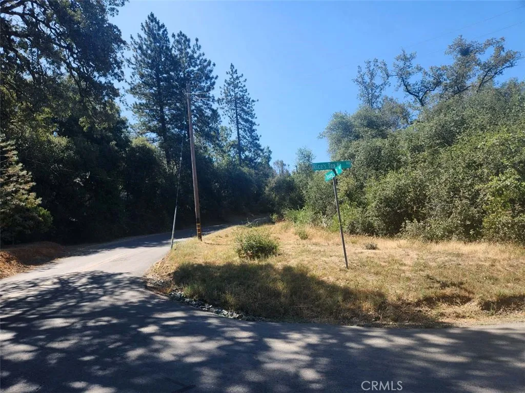 0 Texas Hill Road Oregon House, CA 95962 - Photo 5 of 34 a view of a yard with trees
