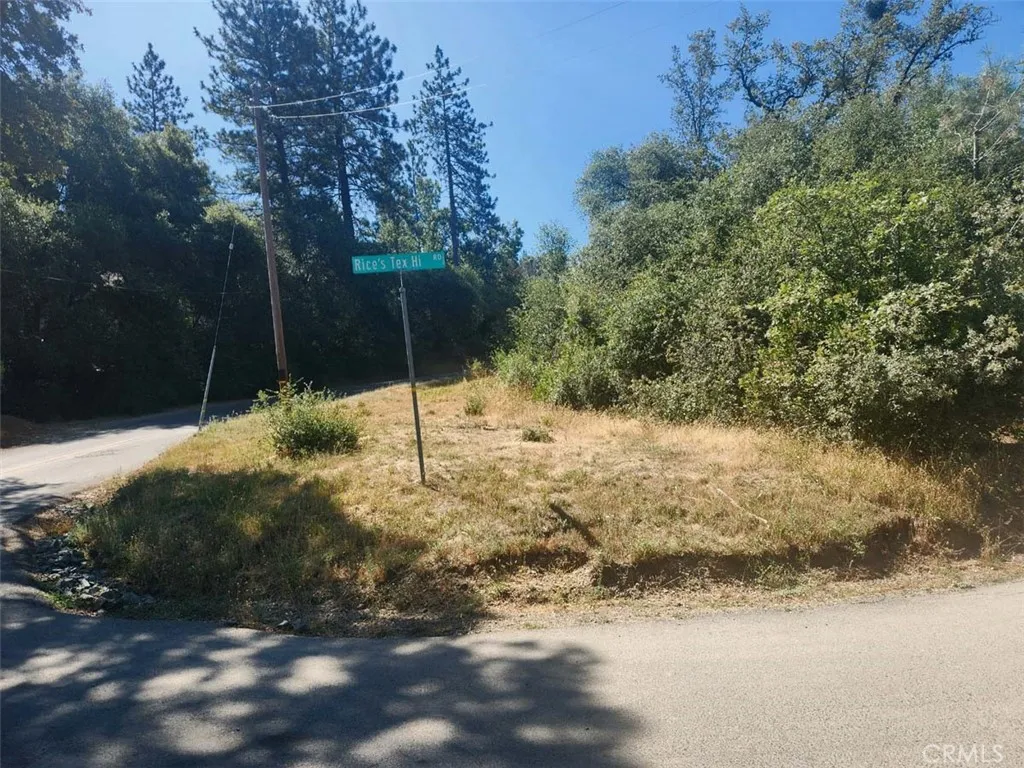 0 Texas Hill Road Oregon House, CA 95962 - Photo 6 of 34