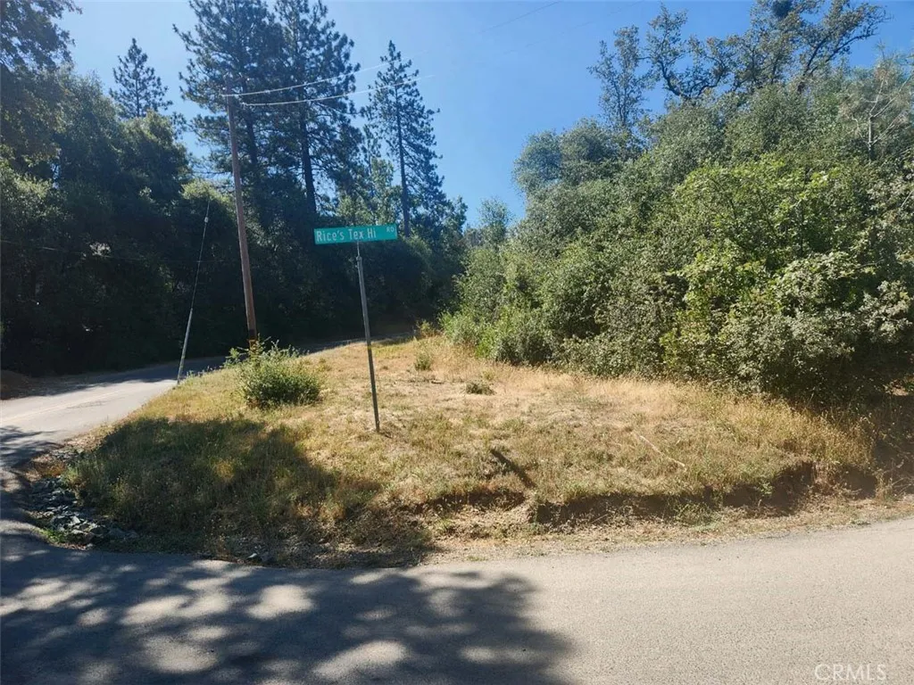 0 Texas Hill Road Oregon House, CA 95962 - Photo 6 of 34 a view of yard