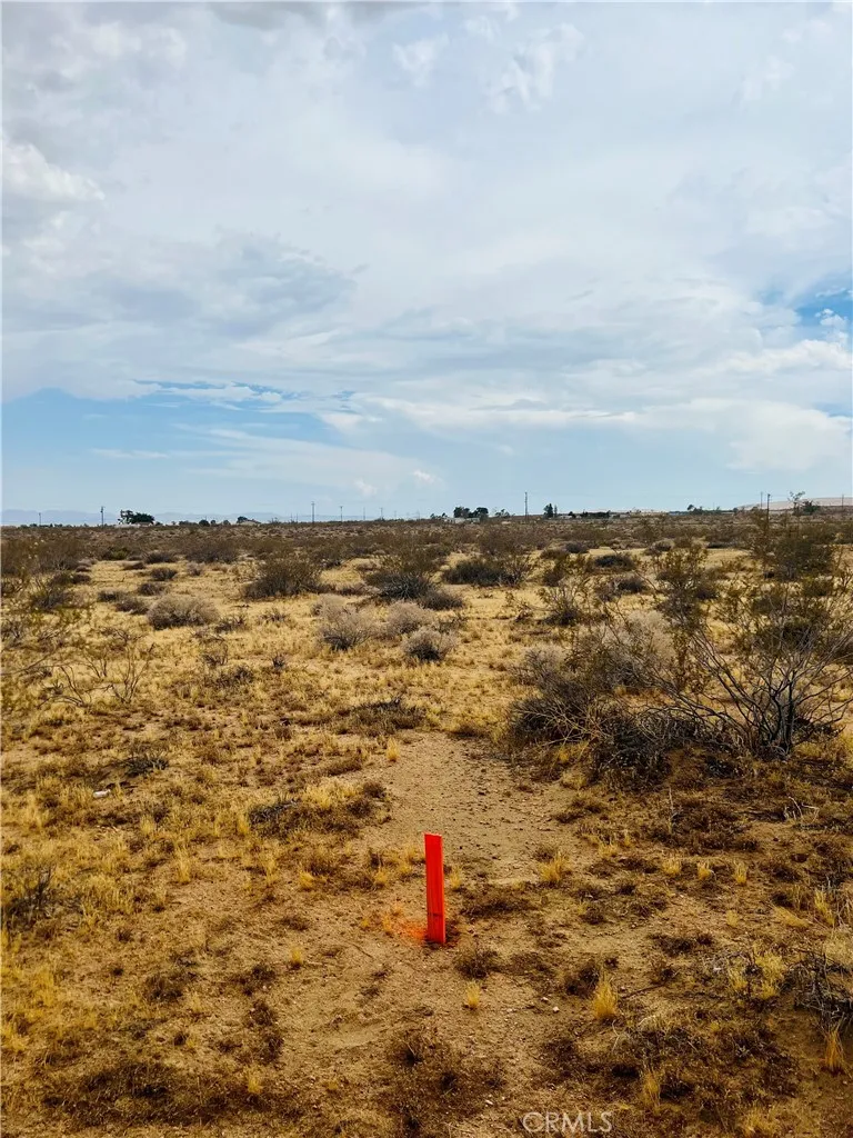 0 Reche Landers, CA 92285 - Photo 8 of 14