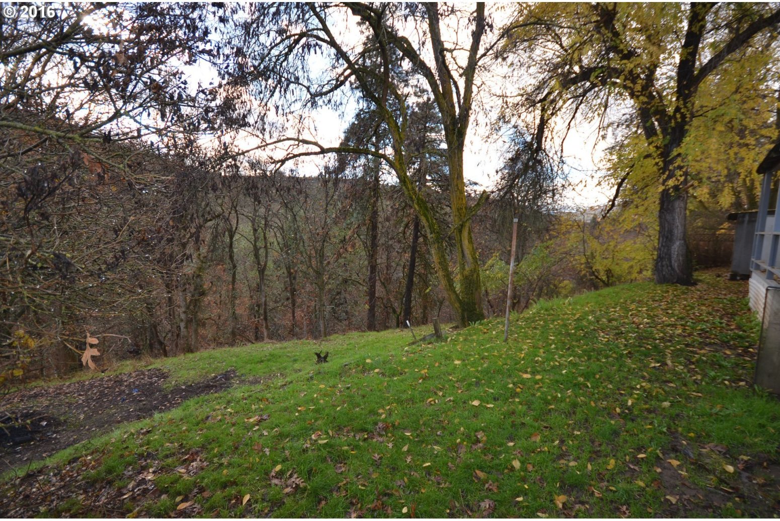 4814 Chenoweth Road The Dalles, OR 97058 - Photo 8 of 29 Gallery Image 8