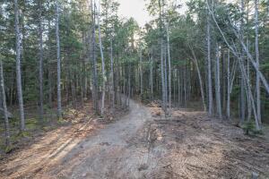 1103 Mariaville Road Ellsworth, ME 04605 - Photo 14 of 19 20250507140756274398000000