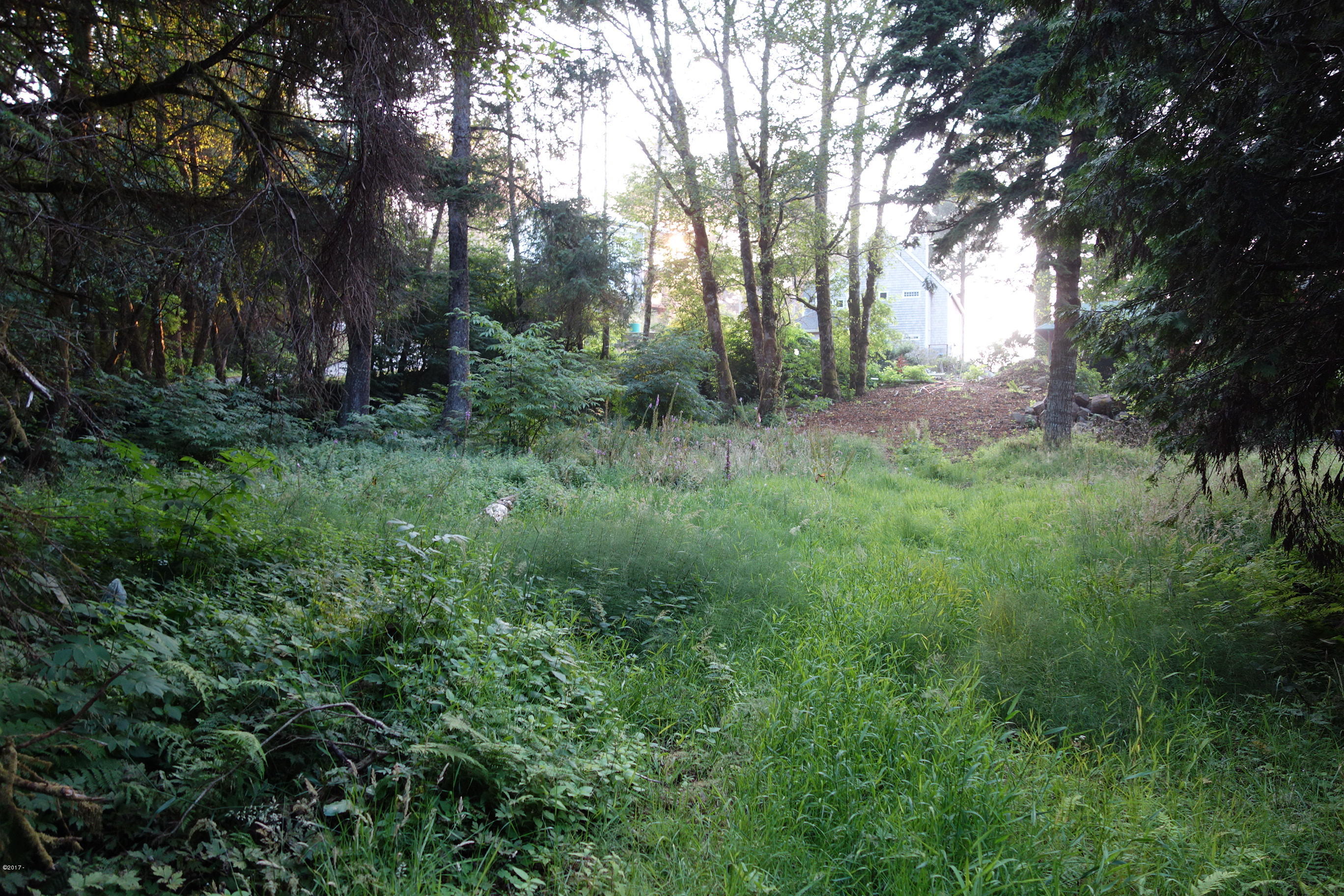 3501 South Beach Road Neskowin, OR 97149 - Photo 1 of 25 Ready to Go! Corner Lot.