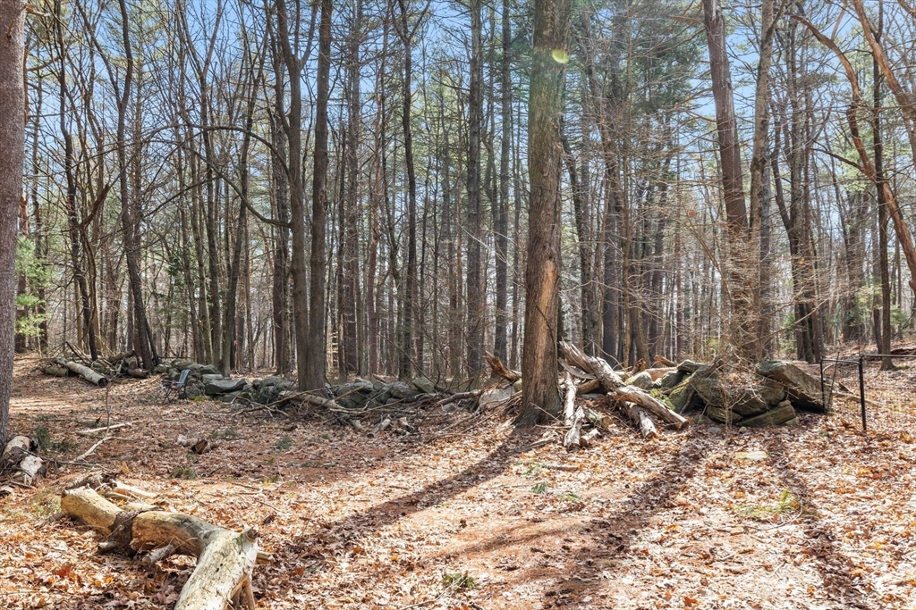 189 Main Street Douglas, MA 01516 - Photo 2 of 2 a view of a backyard with potted plants and large trees