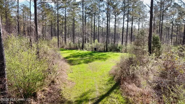 $151,200 | 0 North Putnam Road, Pickens, MS 39146