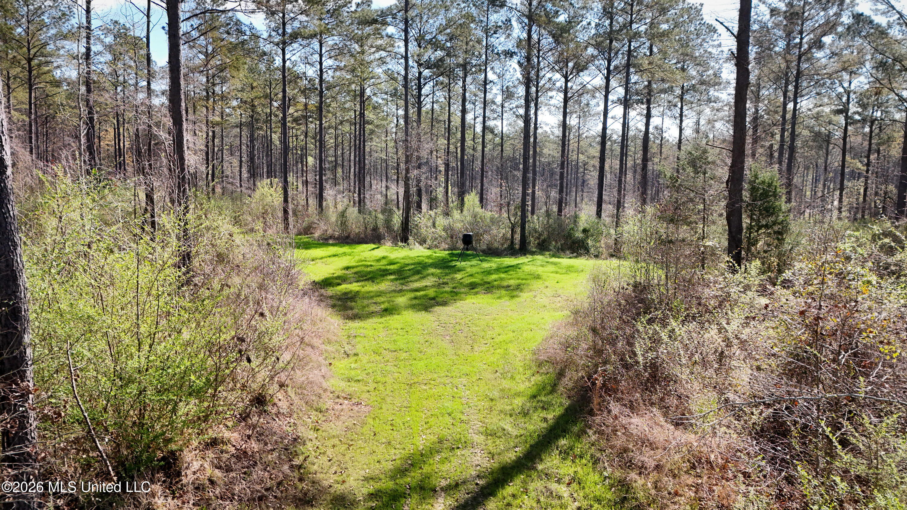 Copy of dji_fly_20260312_114422_0014_177