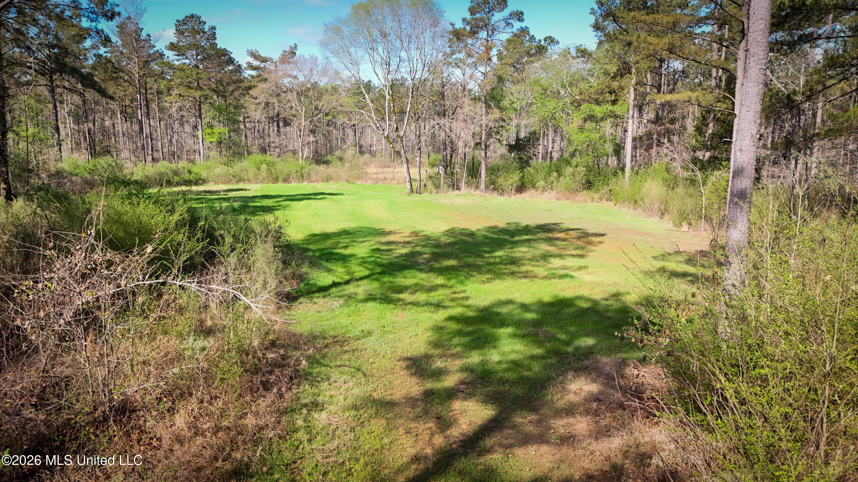 0 North Putnam Road Pickens, MS 39146 - Photo 12 of 13 Copy of dji_fly_20260312_114356_0013_177