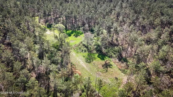 $151,200 | 0 North Putnam Road, Pickens, MS 39146