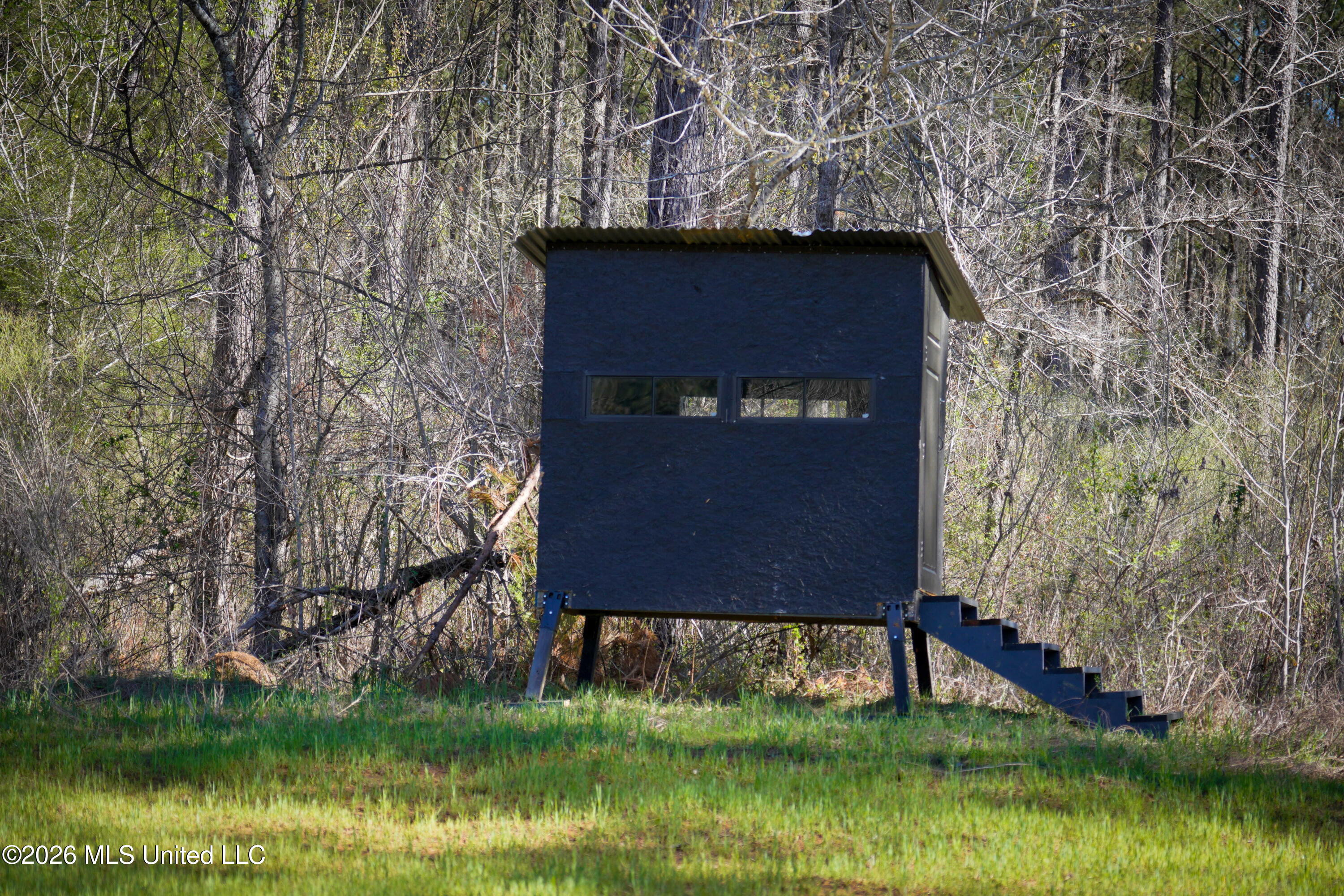 0 North Putnam Road Pickens, MS 39146 - Photo 2 of 13 _DSC3643 (1)