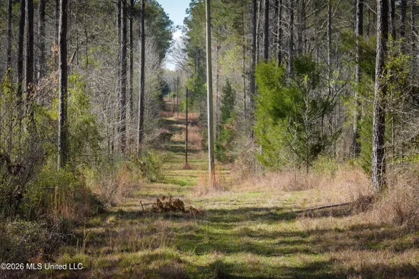 $151,200 | 0 North Putnam Road, Pickens, MS 39146