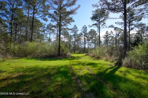 $151,200 | 0 North Putnam Road, Pickens, MS 39146